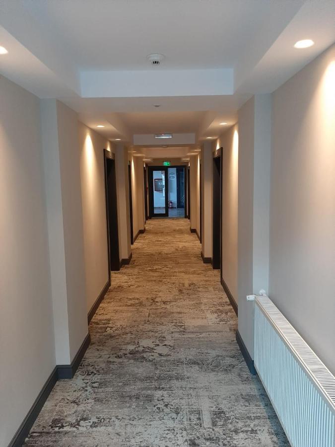 Artemis Hotel Herkulesfürdő Kültér fotó